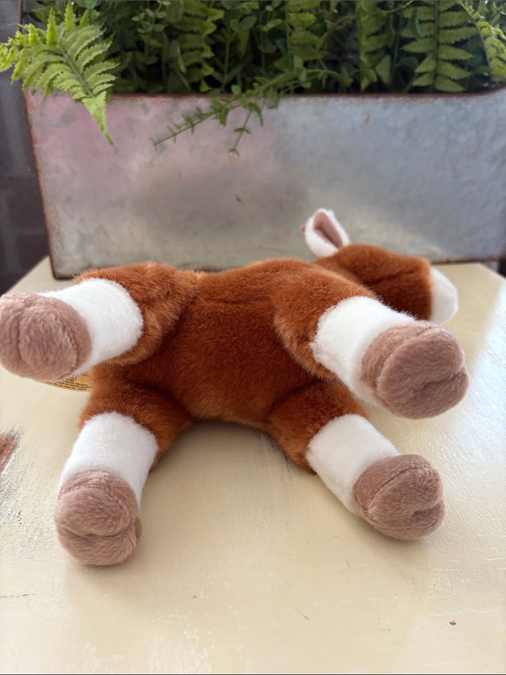 Aurora Miyoni® Goat Stuffed Plush Animal 11” Lifelike Cherished Companions - Picture 7 of 7
